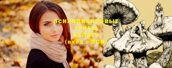 не бодяженный Нягань