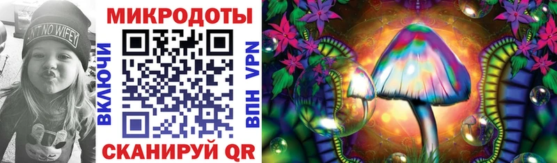 Псилоцибиновые грибы MAGIC MUSHROOMS  Чекалин 